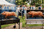 Charcoal vs. Gas Hog Roast Machine: Which Delivers Better Flavour?